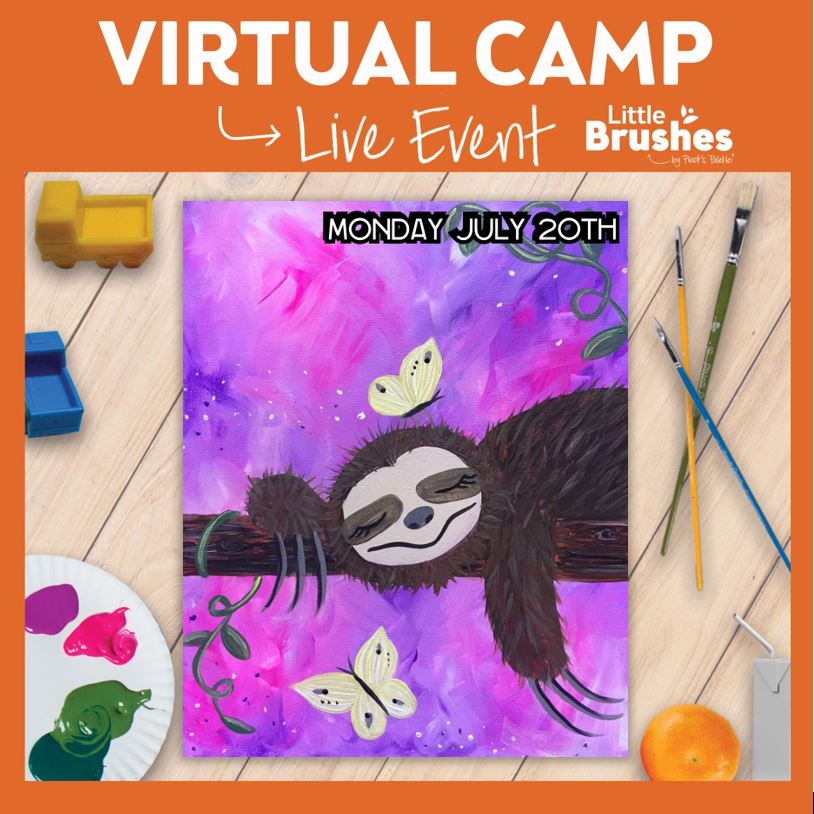Virtual Camp Class